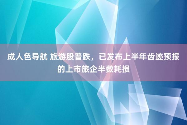 成人色导航 旅游股普跌，已发布上半年齿迹预报的上市旅企半数耗损