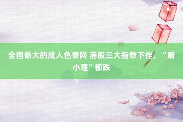 全国最大的成人色情网 港股三大指数下挫，“蔚小理”都跌