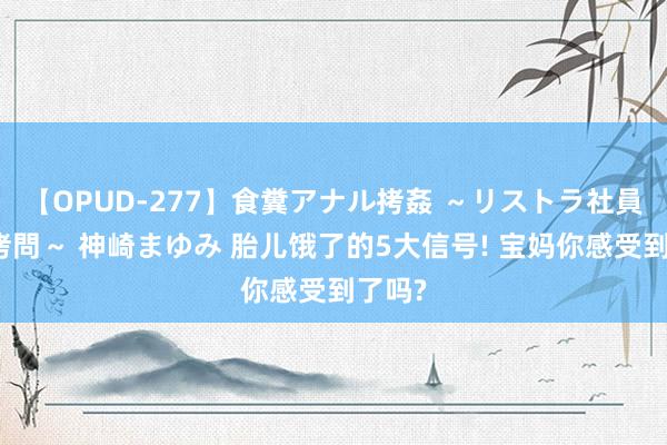 【OPUD-277】食糞アナル拷姦 ～リストラ社員の糞拷問～ 神崎まゆみ 胎儿饿了的5大信号! 宝妈你感受到了吗?