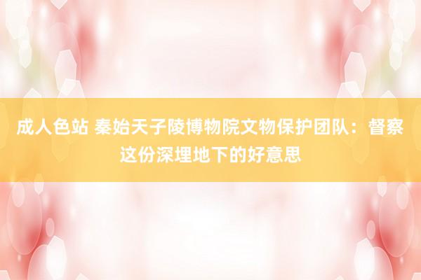 成人色站 秦始天子陵博物院文物保护团队：督察这份深埋地下的好意思