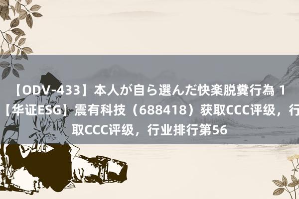 【ODV-433】本人が自ら選んだ快楽脱糞行為 1 神崎まゆみ 【华证ESG】震有科技（688418）获取CCC评级，行业排行第56