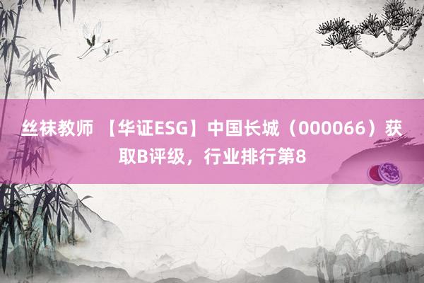 丝袜教师 【华证ESG】中国长城（000066）获取B评级，行业排行第8