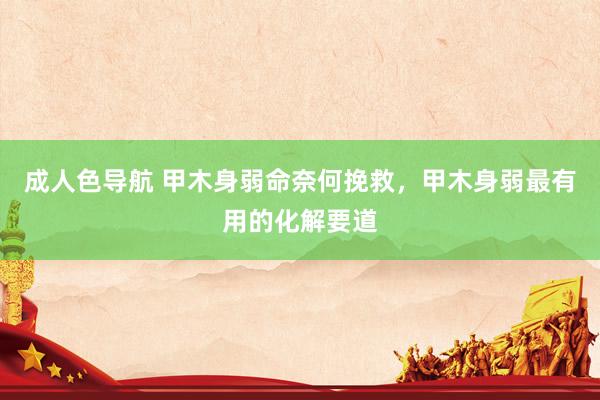 成人色导航 甲木身弱命奈何挽救，甲木身弱最有用的化解要道