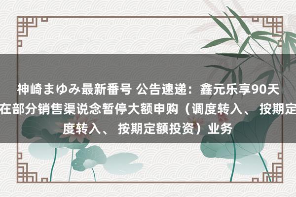 神崎まゆみ最新番号 公告速递：鑫元乐享90天抓有债券基金在部分销售渠说念暂停大额申购（调度转入、 按期定额投资）业务