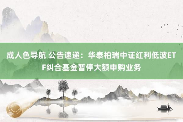 成人色导航 公告速递：华泰柏瑞中证红利低波ETF纠合基金暂停大额申购业务