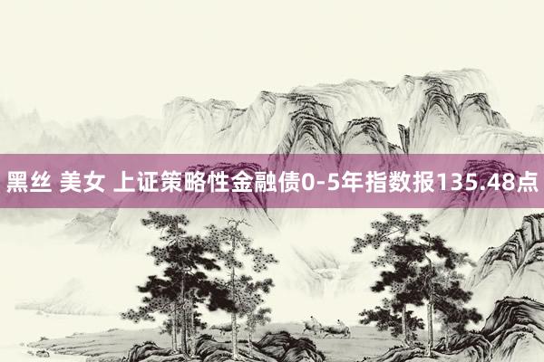黑丝 美女 上证策略性金融债0-5年指数报135.48点