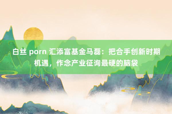 白丝 porn 汇添富基金马磊：把合手创新时期机遇，作念产业征询最硬的脑袋