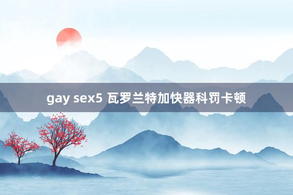 gay sex5 瓦罗兰特加快器科罚卡顿