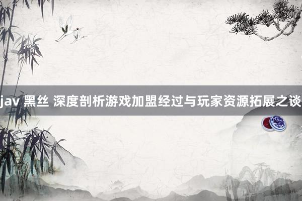 jav 黑丝 深度剖析游戏加盟经过与玩家资源拓展之谈