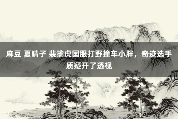 麻豆 夏晴子 裴擒虎国服打野撞车小胖，奇迹选手质疑开了透视