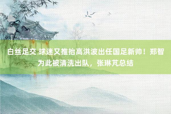 白丝足交 球迷又推抬高洪波出任国足新帅！郑智为此被清洗出队，张琳芃总结