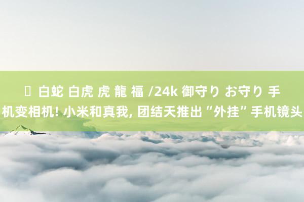 ✨白蛇 白虎 虎 龍 福 /24k 御守り お守り 手机变相机! 小米和真我， 团结天推出“外挂”手机镜头