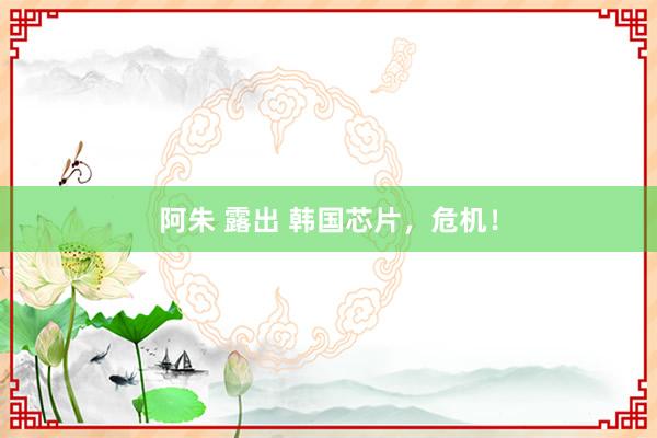 阿朱 露出 韩国芯片，危机！