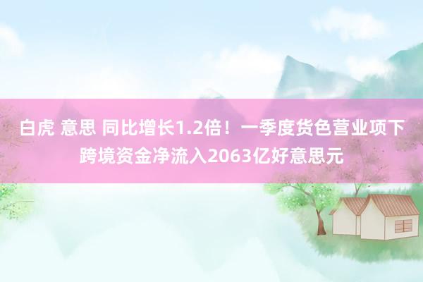 白虎 意思 同比增长1.2倍！一季度货色营业项下跨境资金净流入2063亿好意思元