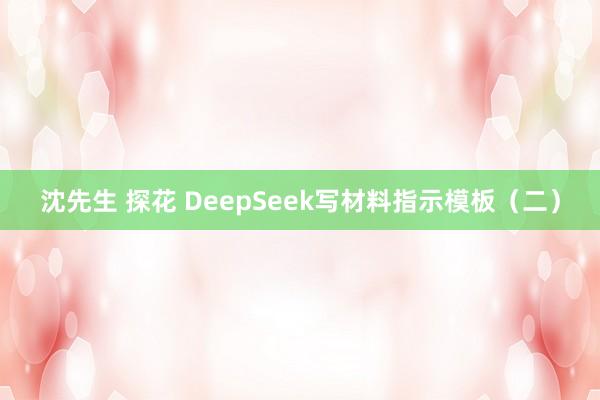 沈先生 探花 DeepSeek写材料指示模板（二）