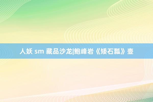 人妖 sm 藏品沙龙|鲍峰岩《矮石瓢》壶