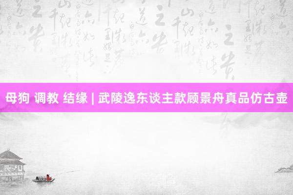 母狗 调教 结缘 | 武陵逸东谈主款顾景舟真品仿古壶