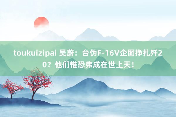 toukuizipai 吴蔚：台伪F-16V企图挣扎歼20？他们惟恐弗成在世上天！